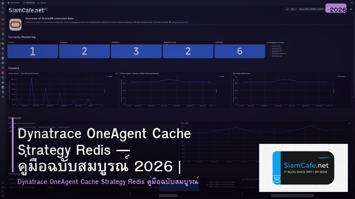 Dynatrace OneAgent Cache Strategy Redis — คู่มือฉบับสมบูรณ์ 2026 | SiamCafe Blog