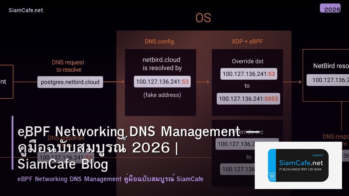 eBPF Networking DNS Management — คู่มือฉบับสมบูรณ์ 2026 | SiamCafe Blog