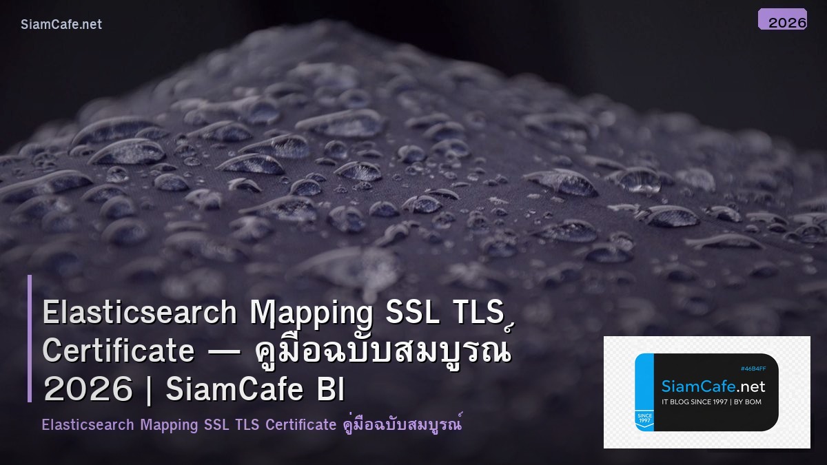 Elasticsearch Mapping SSL TLS Certificate — คู่มือฉบับสมบูรณ์ 2026 | SiamCafe Blog