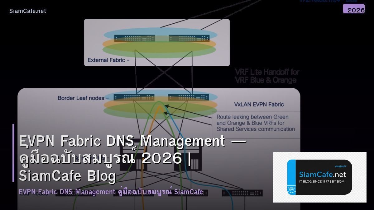EVPN Fabric DNS Management — คู่มือฉบับสมบูรณ์ 2026 | SiamCafe Blog