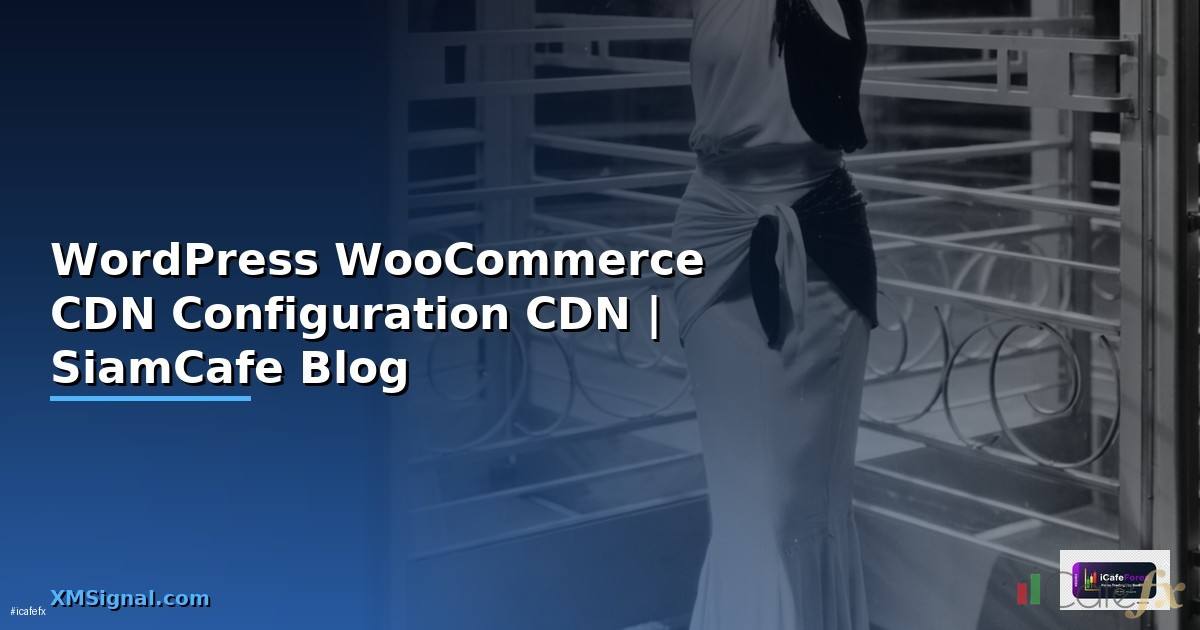 WordPress WooCommerce CDN Configuration —