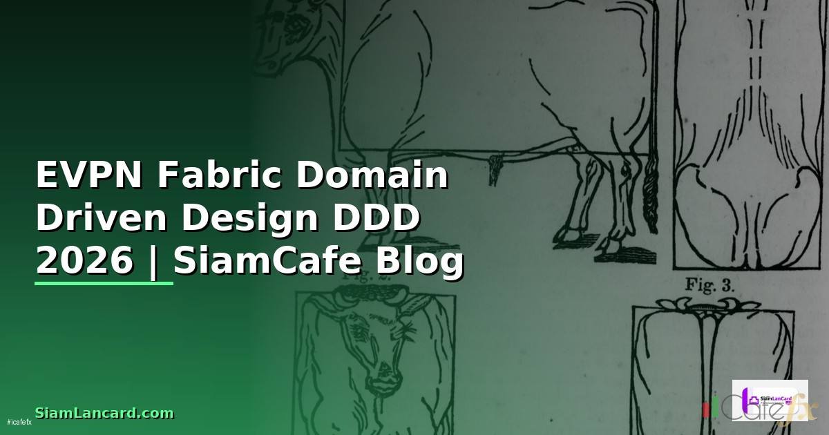 EVPN Fabric Domain Driven Design DDD