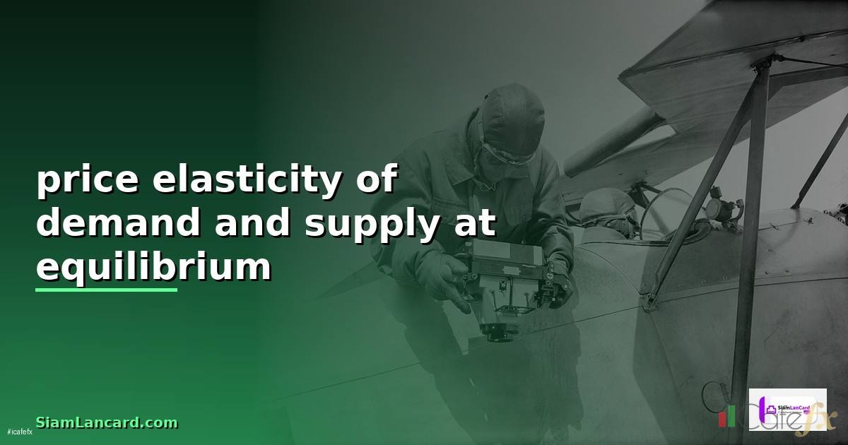 price elasticity of demand and supply at