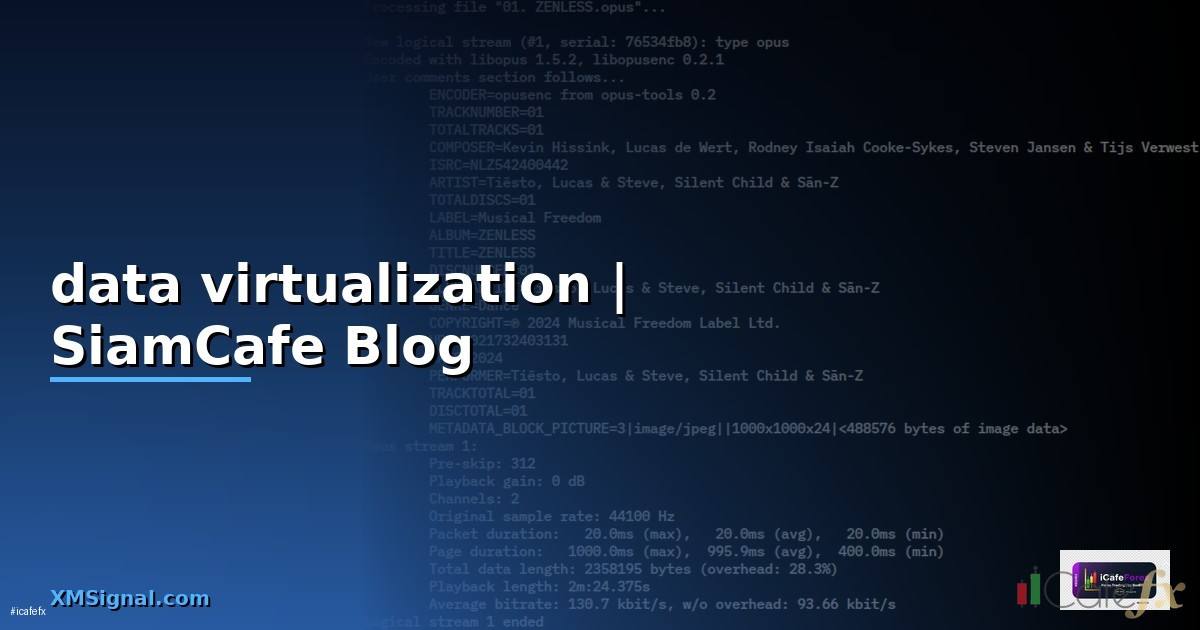 data virtualization คือ