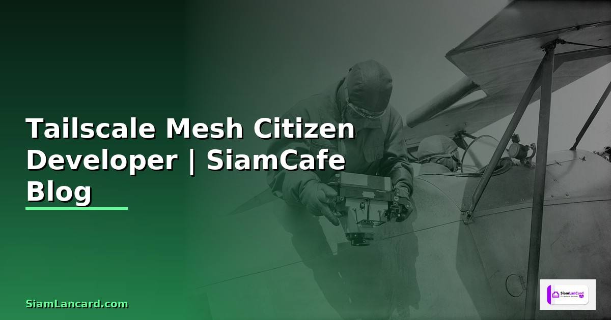 Tailscale Mesh Citizen Developer