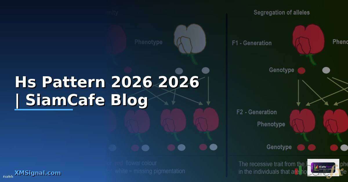 Hs Pattern — คู่มือฉบับสมบูรณ์ 2026 | SiamCafe Blog