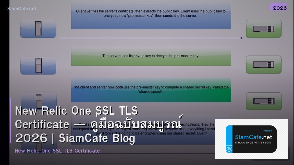 New Relic One SSL TLS Certificate — คู่มือฉบับสมบูรณ์ 2026 | SiamCafe Blog