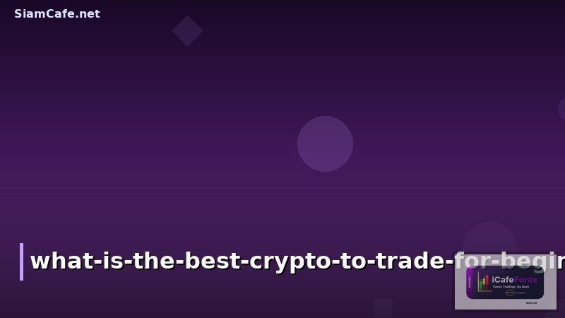 what is the best crypto to trade for beginners?