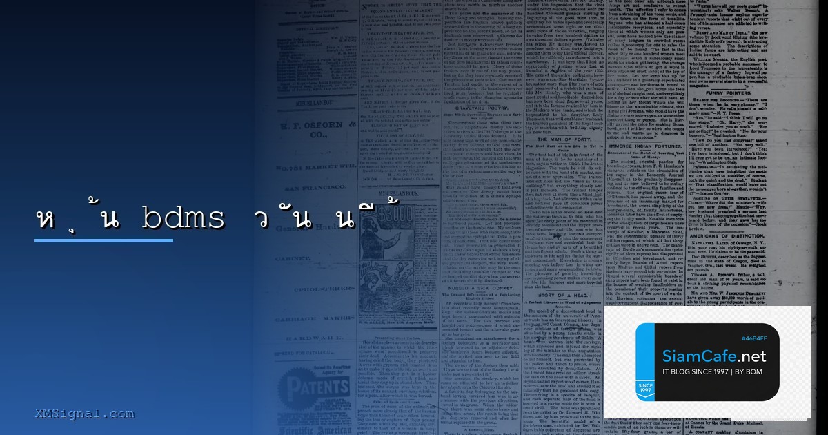 Zfx — คู่มือฉบับสมบูรณ์ 2026 — คู่มือฉบับสมบูรณ์ 2026 | SiamCafe Blog