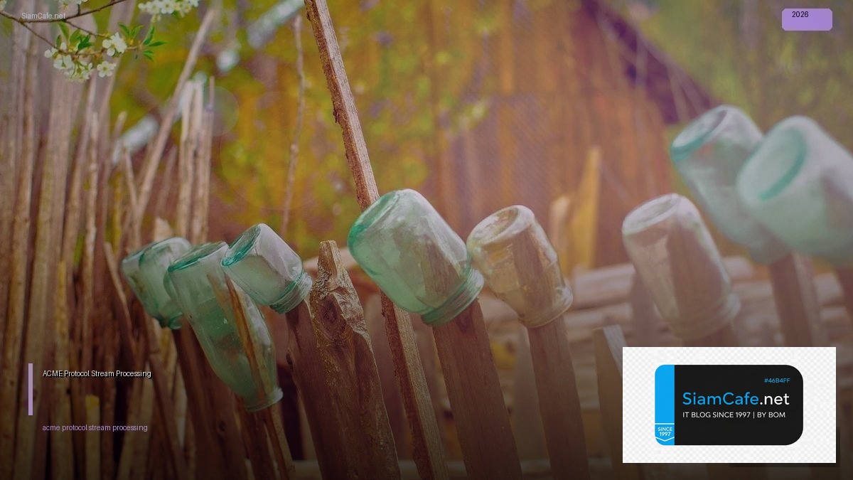 ACME Protocol Stream Processing | SiamCafe Blog