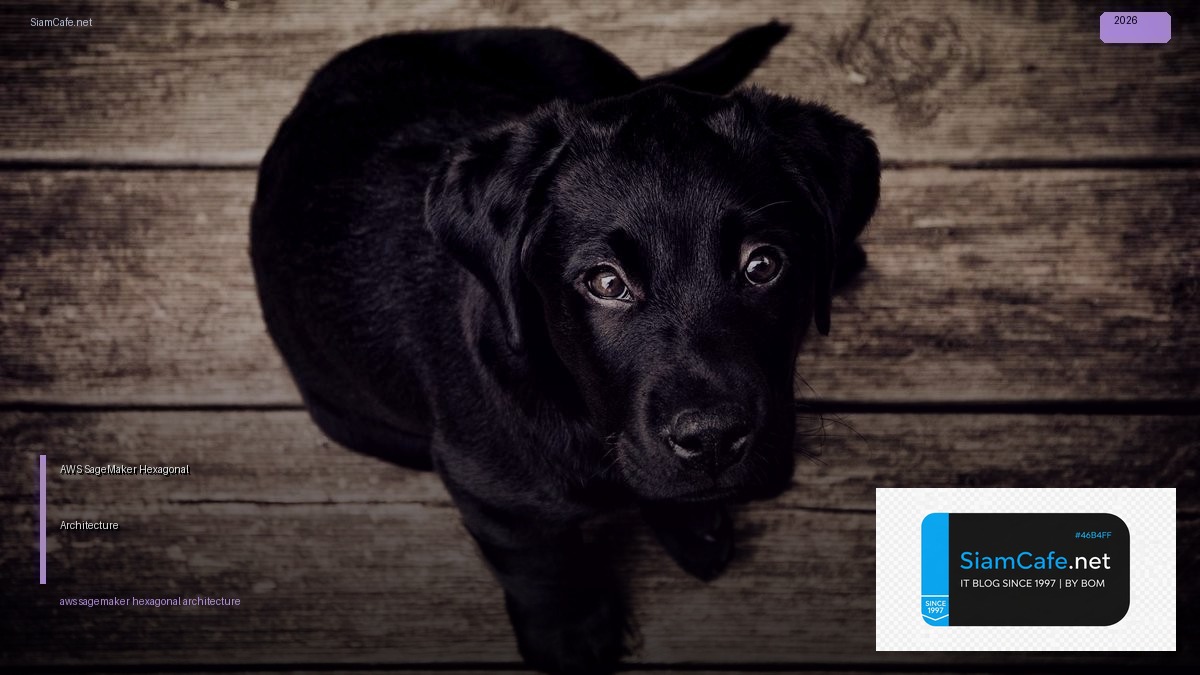 AWS SageMaker Hexagonal Architecture — คู่มือฉบับสมบูรณ์ 2026 | SiamCafe Blog