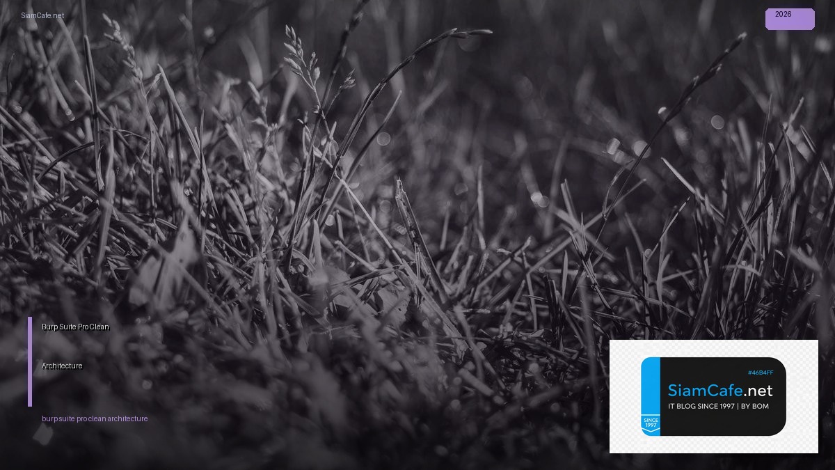 Burp Suite Pro Clean Architecture | SiamCafe Blog