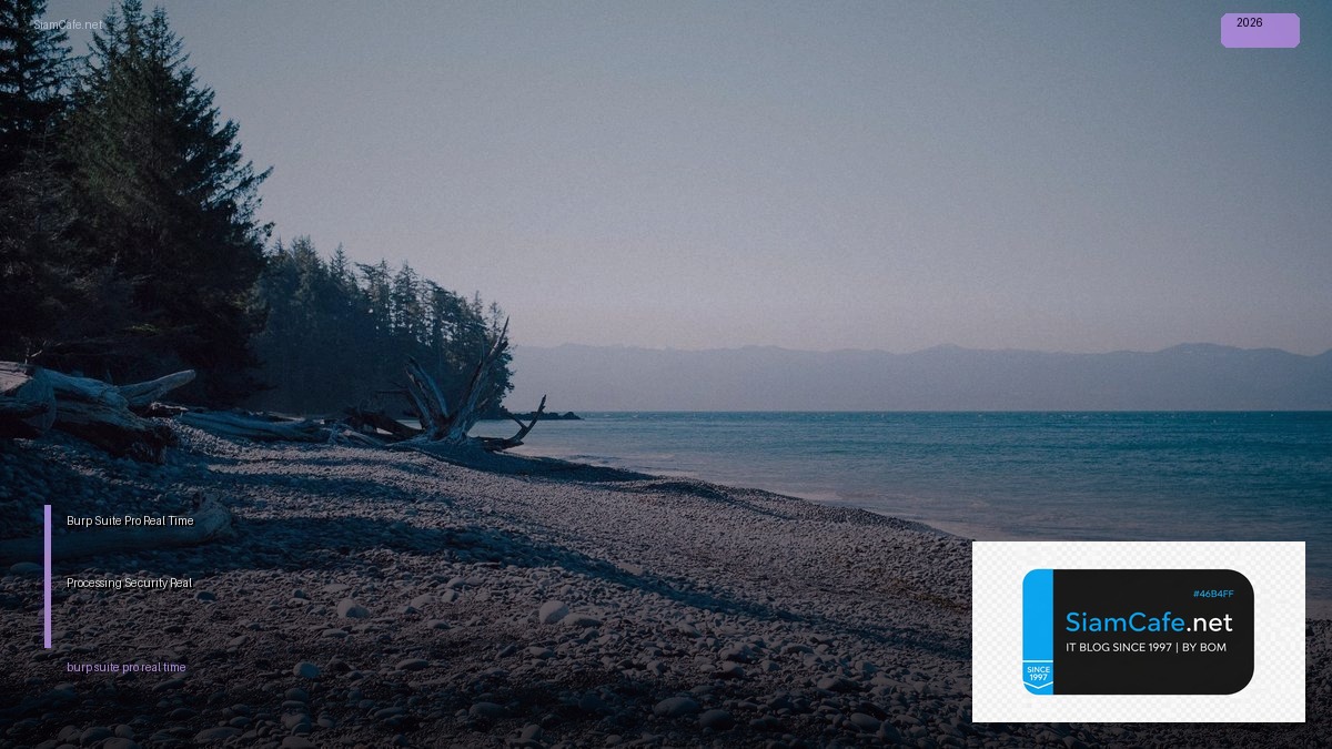 Burp Suite Pro Real-Time Processing  วิเคราะห์ Security แบบ Real-Time | SiamCafe Blog