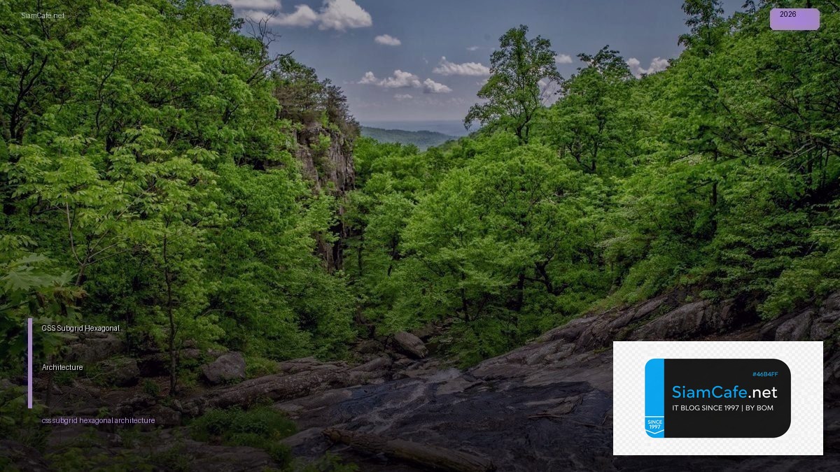 CSS Subgrid Hexagonal Architecture — คู่มือฉบับสมบูรณ์ 2026 | SiamCafe Blog
