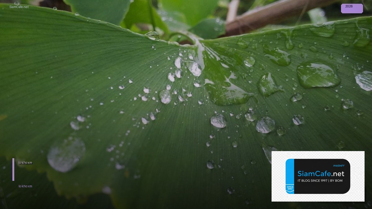 các loại tài khoản sàn xm — คู่มือฉบับสมบูรณ์ 2026 | SiamCafe Blog