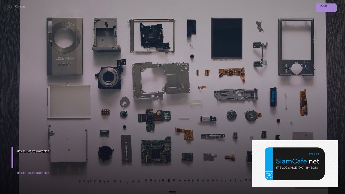 data structure examples — คู่มือฉบับสมบูรณ์ 2026 | SiamCafe Blog