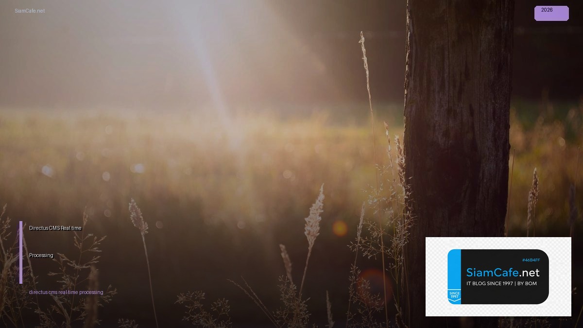 Directus CMS Real-time Processing | SiamCafe Blog