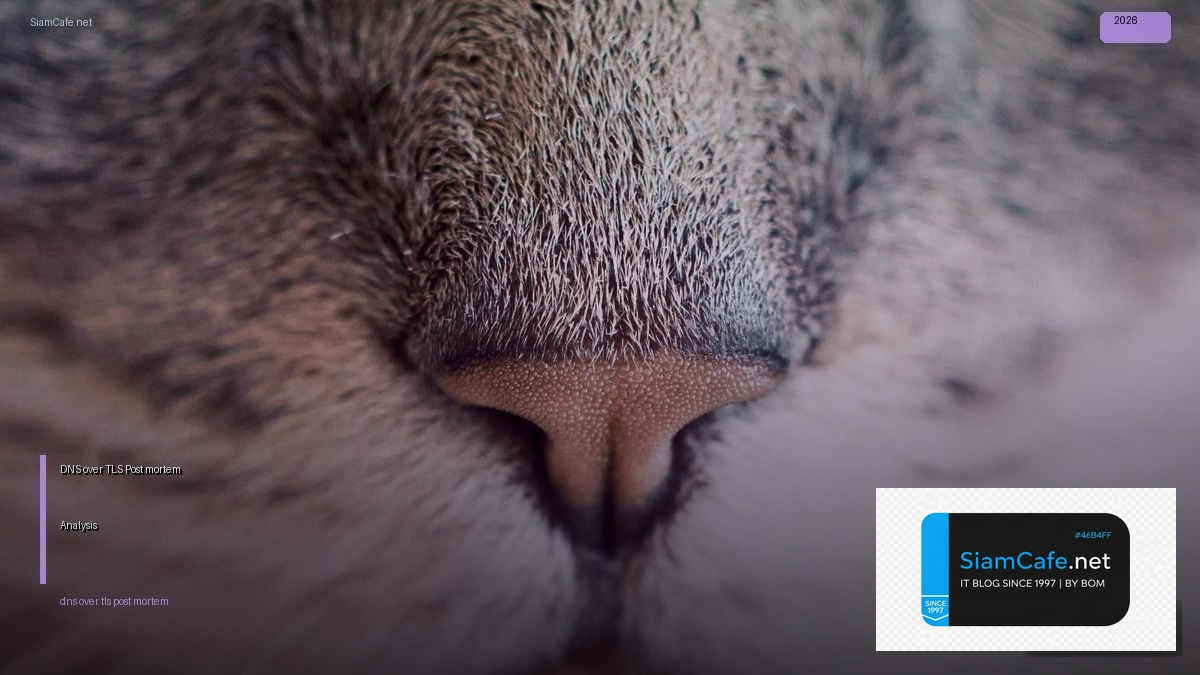 DNS over TLS Post-mortem Analysis — คู่มือฉบับสมบูรณ์ 2026 | SiamCafe Blog