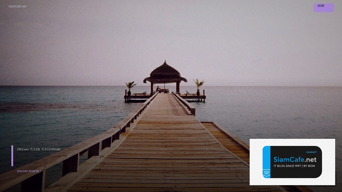 DNS over TLS SSL TLS Certificate — คู่มือฉบับสมบูรณ์ 2026 | SiamCafe Blog