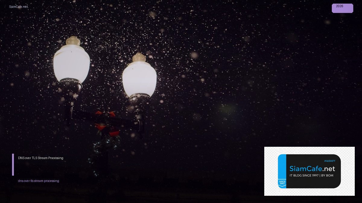 DNS over TLS Stream Processing — คู่มือฉบับสมบูรณ์ 2026 | SiamCafe Blog
