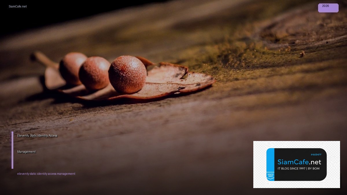 Eleventy Static Identity Access Management | SiamCafe Blog