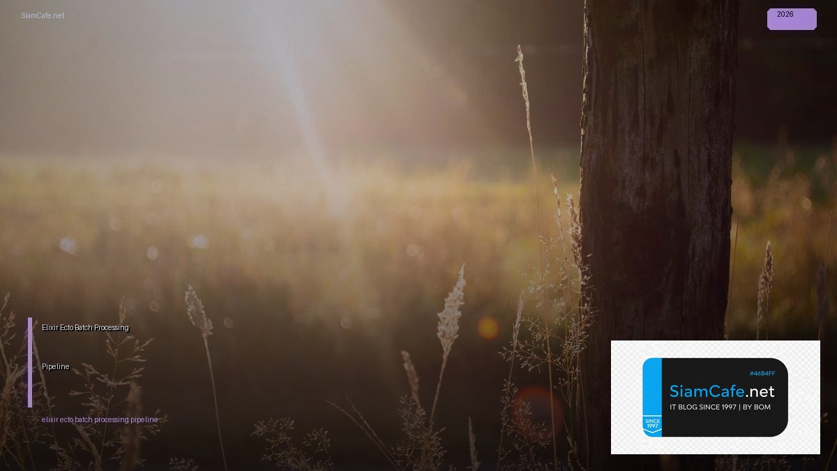 Elixir Ecto Batch Processing Pipeline | SiamCafe Blog