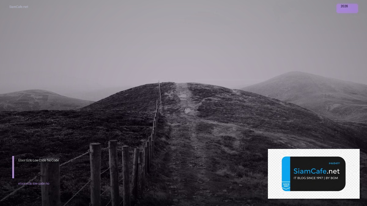 Elixir Ecto Low Code No Code | SiamCafe Blog