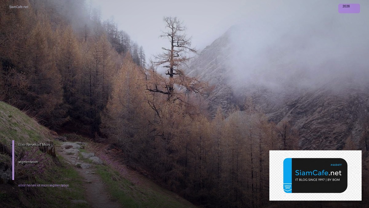 Elixir Nerves IoT Micro-segmentation | SiamCafe Blog