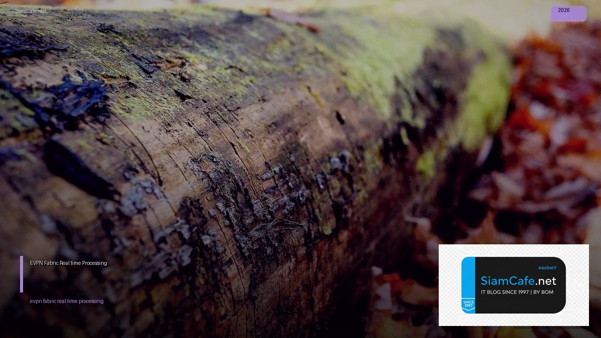 EVPN Fabric Real-time Processing — คู่มือฉบับสมบูรณ์ 2026 | SiamCafe Blog