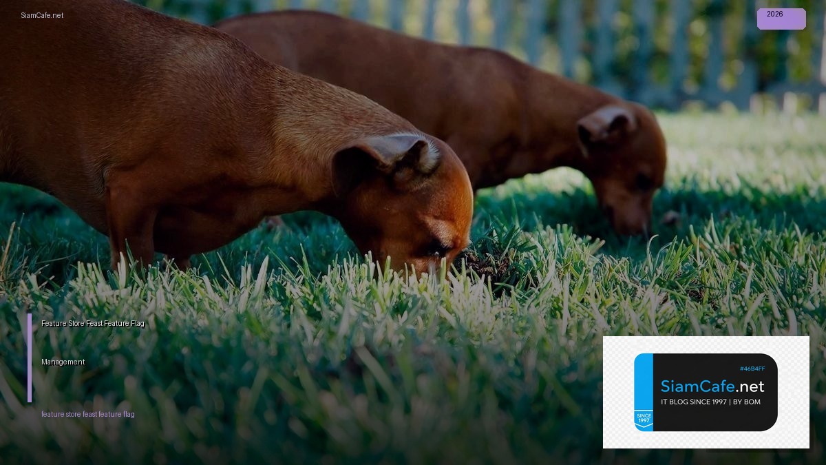 Feature Store Feast Feature Flag Management | SiamCafe Blog