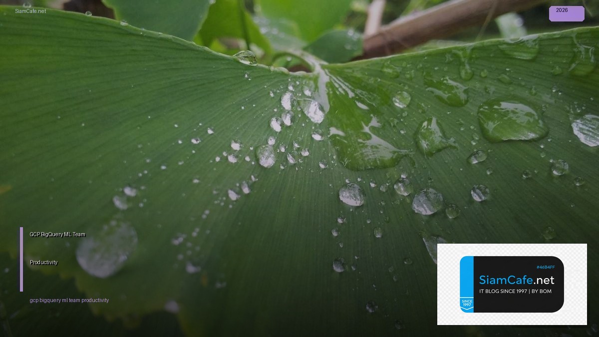 GCP BigQuery ML Team Productivity — คู่มือฉบับสมบูรณ์ 2026 | SiamCafe Blog