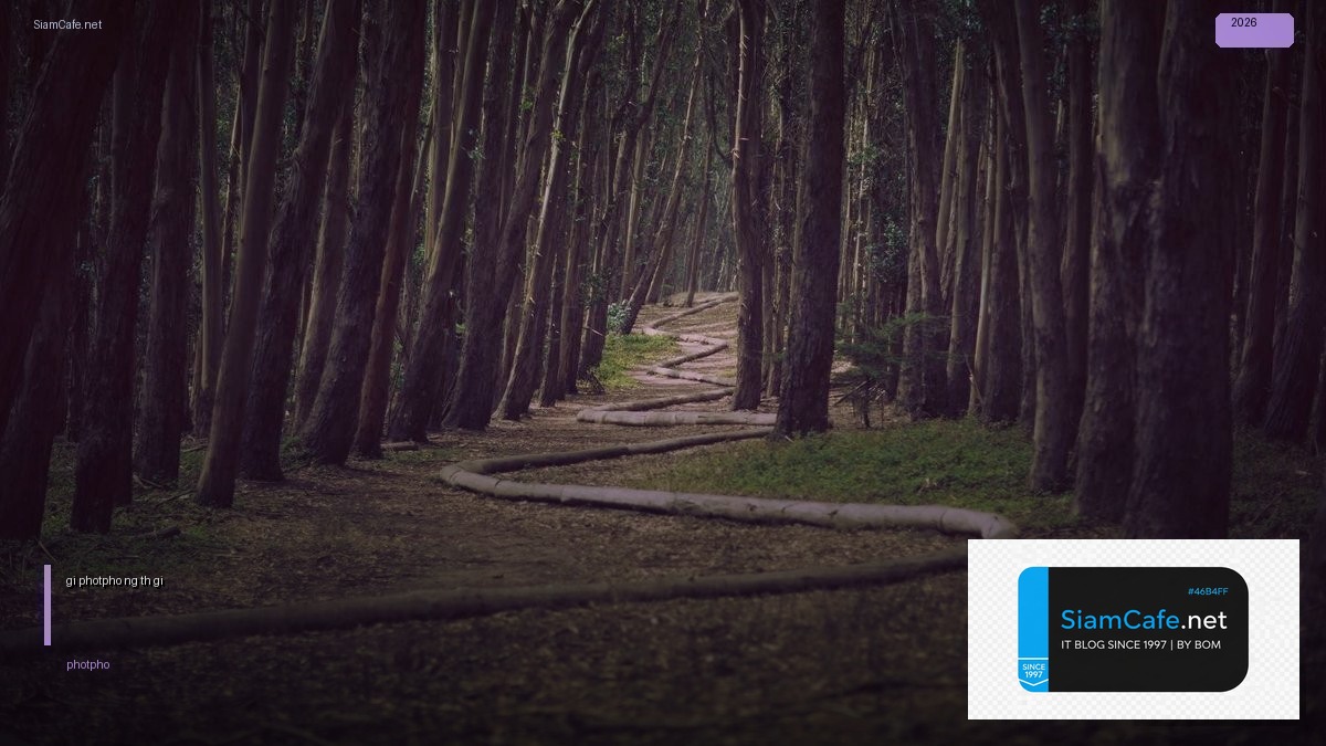 giá photpho vàng thế giới — วิธีตั้งค่าและใช้งานจริงพร้อมตัวอย่าง