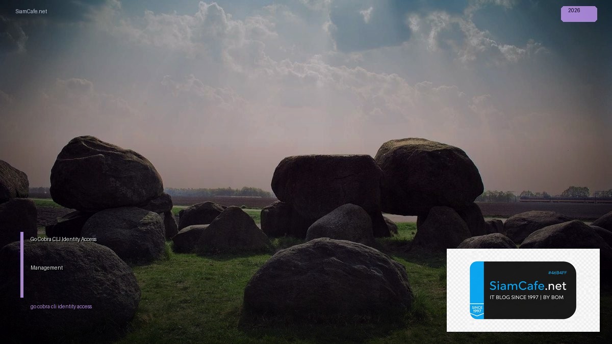 Go Cobra CLI Identity Access Management — คู่มือฉบับสมบูรณ์ 2026 | SiamCafe Blog