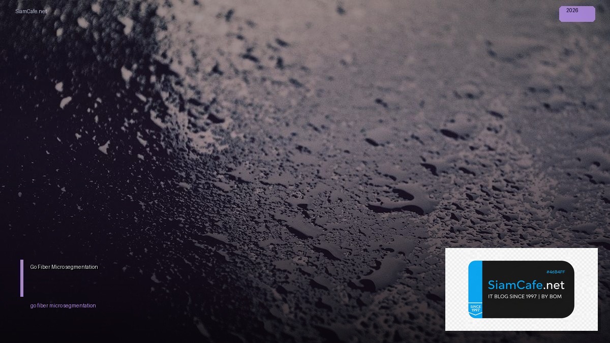 Go Fiber Micro-segmentation — คู่มือฉบับสมบูรณ์ 2026 | SiamCafe Blog