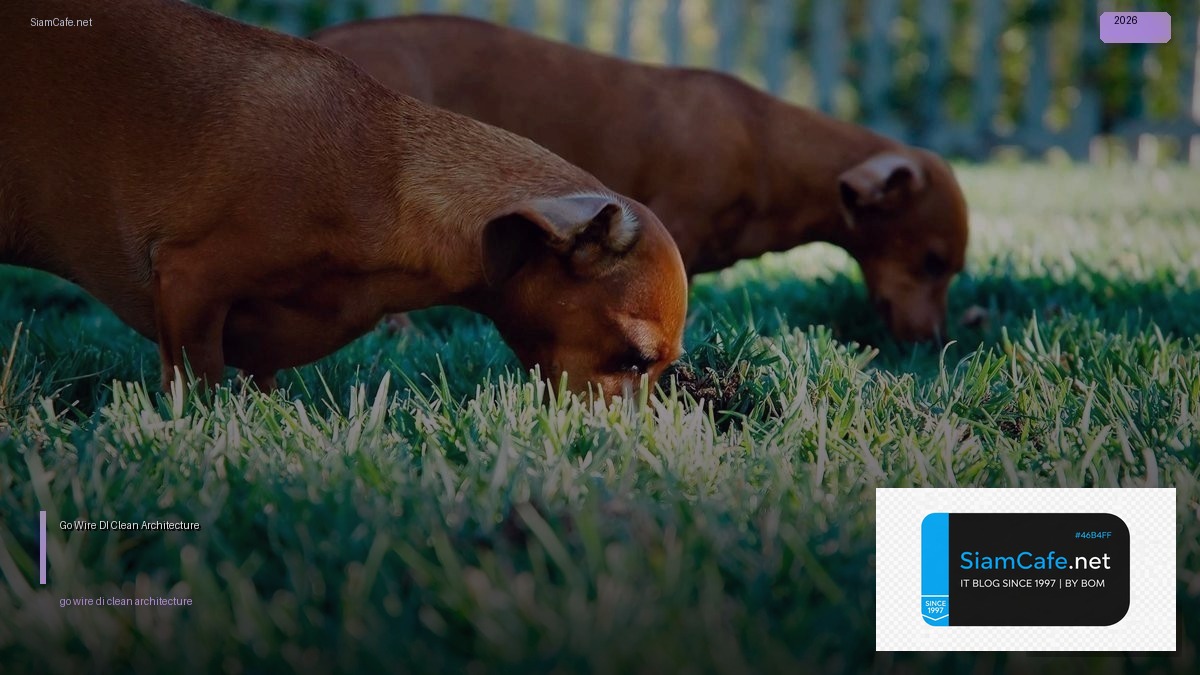 Go Wire DI Clean Architecture — คู่มือฉบับสมบูรณ์ 2026 | SiamCafe Blog