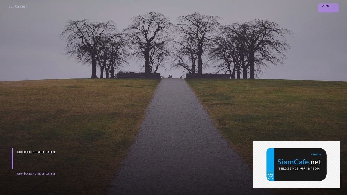 grey box penetration testing | SiamCafe Blog