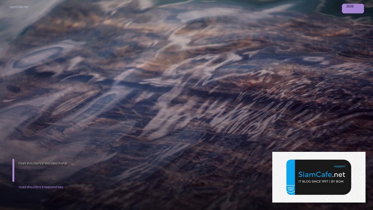 head shoulders knees and toes chords | SiamCafe Blog