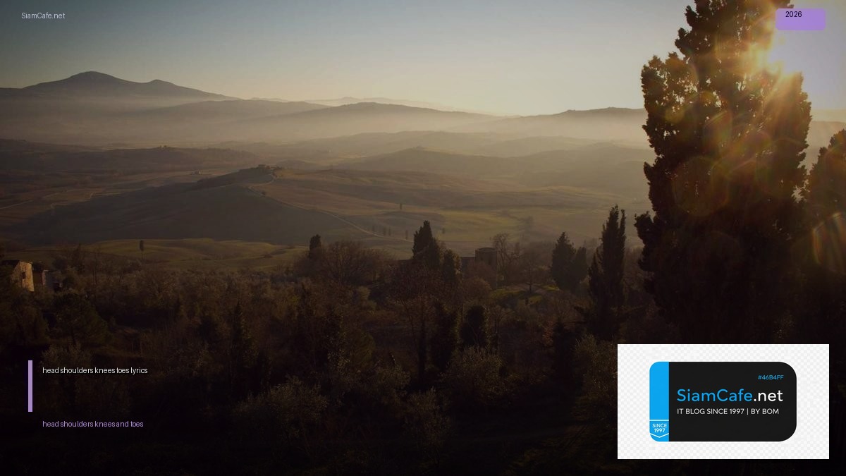 head shoulders knees and toes lyrics | SiamCafe Blog