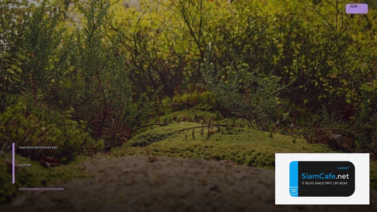 head shoulders knees and toes youtube — วิธีตั้งค่าและใช้งานจริงพร้อมตัวอย่าง