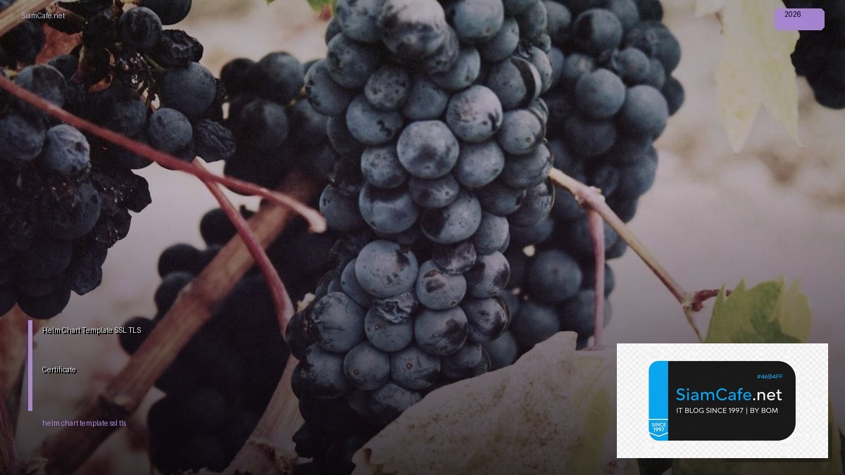 Helm Chart Template SSL TLS Certificate — คู่มือฉบับสมบูรณ์ 2026 | SiamCafe Blog