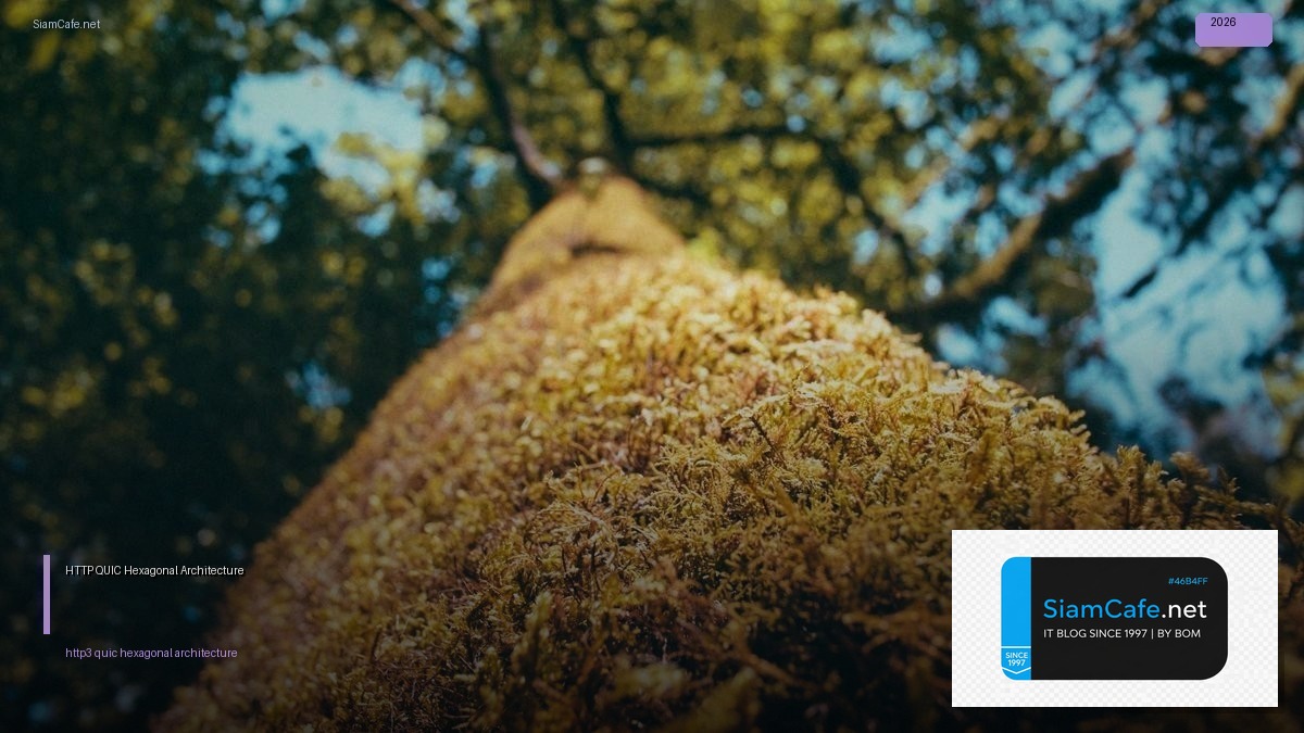 HTTP/3 QUIC Hexagonal Architecture | SiamCafe Blog