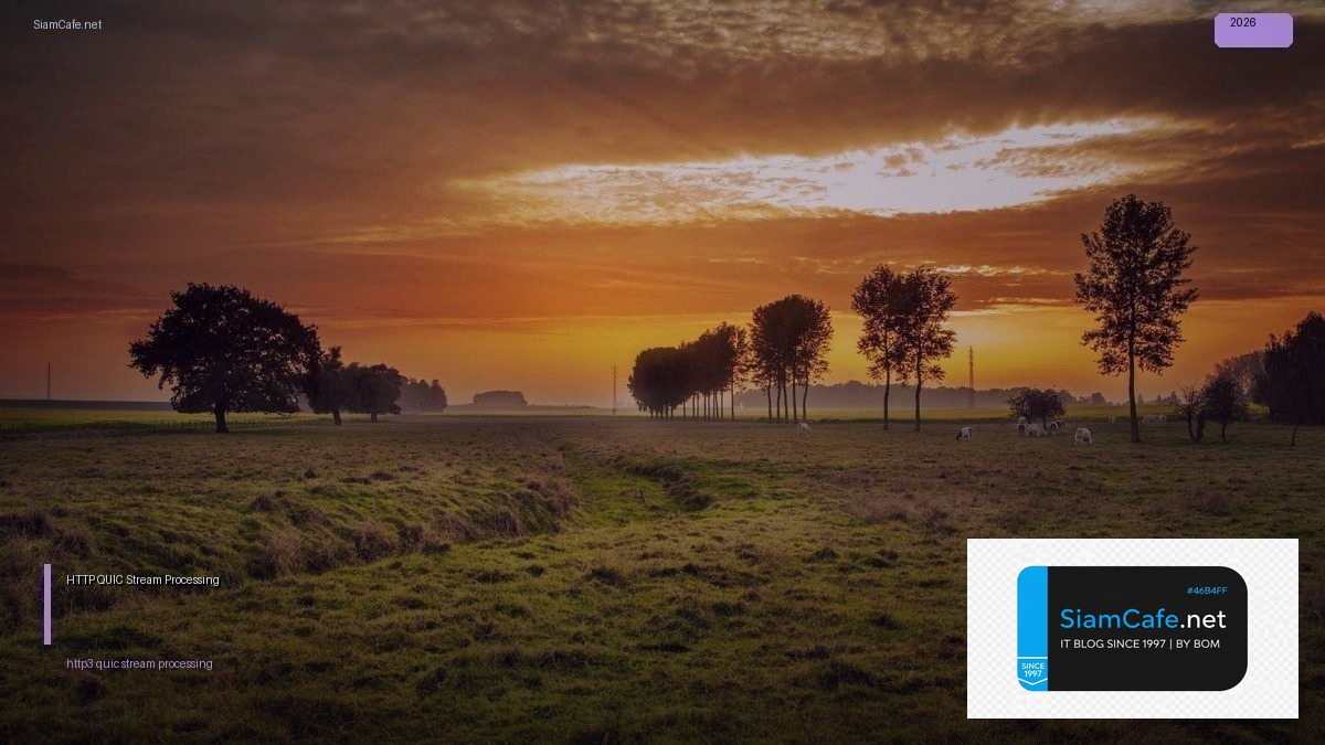 HTTP/3 QUIC Stream Processing | SiamCafe Blog
