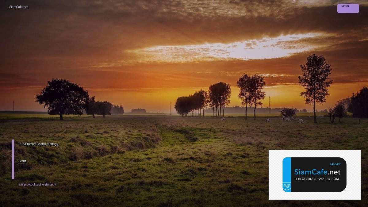 IS-IS Protocol Cache Strategy Redis — คู่มือฉบับสมบูรณ์ 2026 | SiamCafe Blog