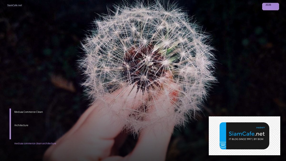 Medusa Commerce Clean Architecture — วิธีตั้งค่าและใช้งานจริงพร้อมตัวอย่าง