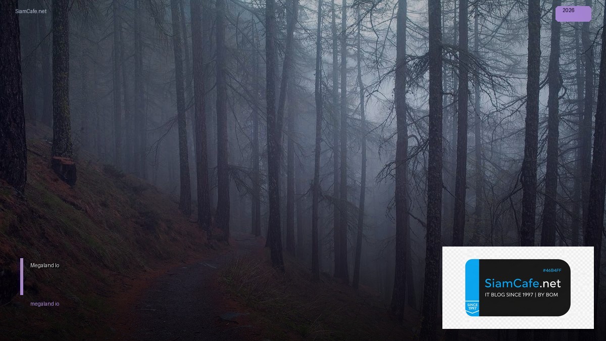 Megaland Io — วิธีตั้งค่าและใช้งานจริงพร้อมตัวอย่าง