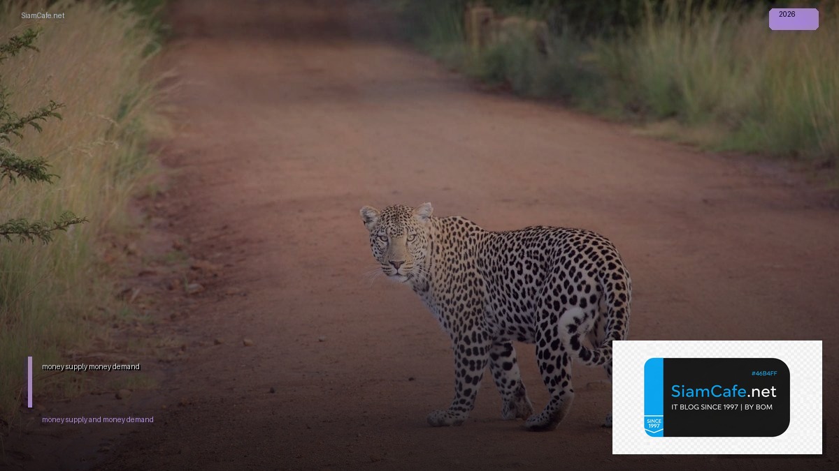 money supply and money demand — คู่มือฉบับสมบูรณ์ 2026 | SiamCafe Blog