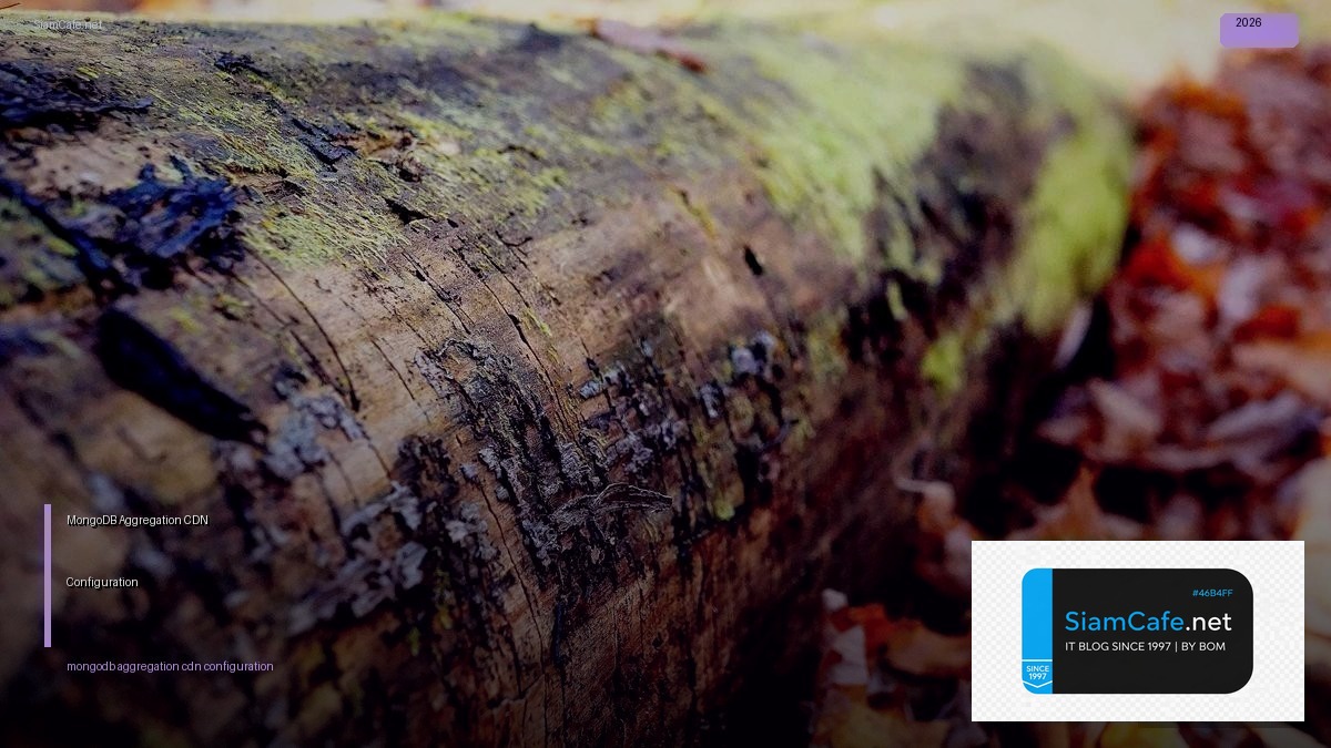 MongoDB Aggregation CDN Configuration — คู่มือฉบับสมบูรณ์ 2026 | SiamCafe Blog