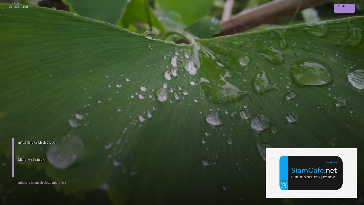 mTLS Service Mesh Cloud Migration Strategy — คู่มือฉบับสมบูรณ์ 2026 | SiamCafe Blog