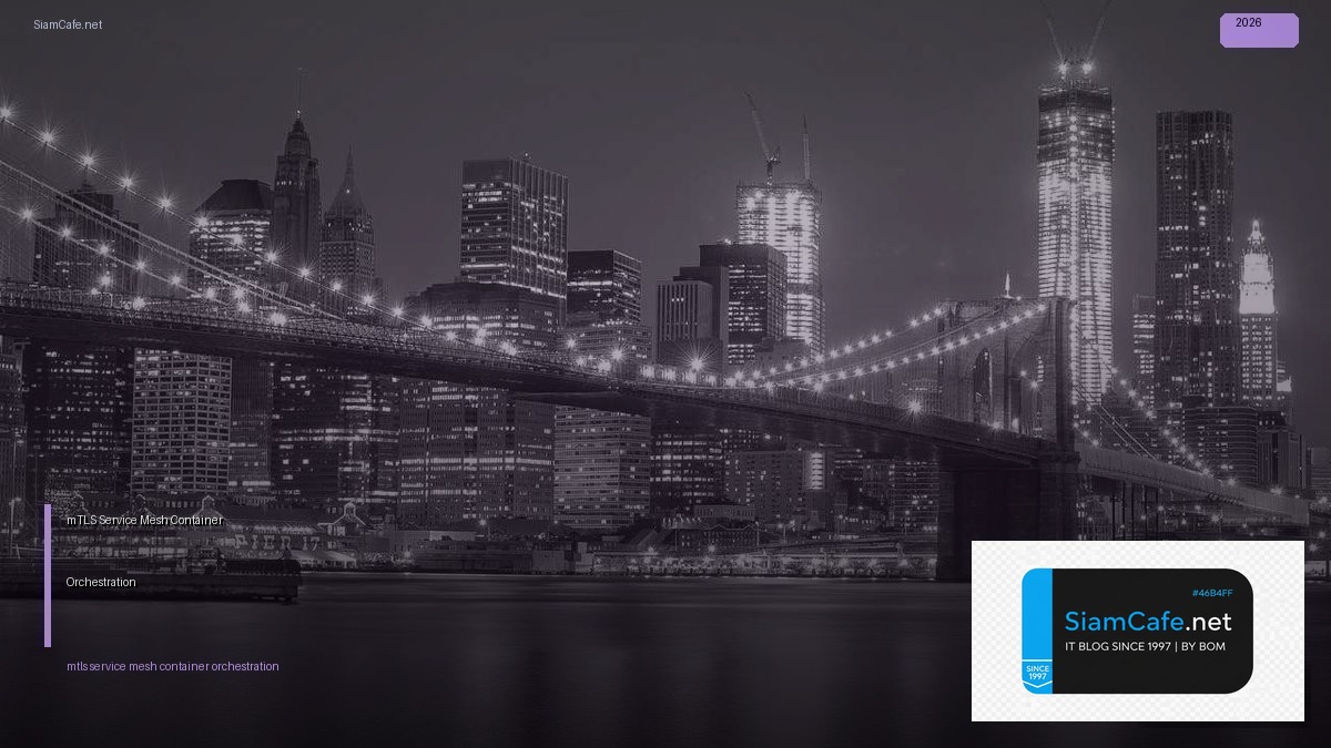 mTLS Service Mesh Container Orchestration | SiamCafe Blog