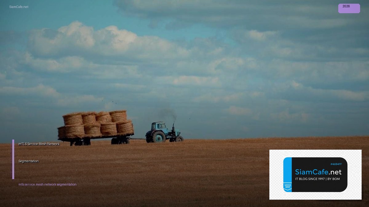 mTLS Service Mesh Network Segmentation — คู่มือฉบับสมบูรณ์ 2026 | SiamCafe Blog